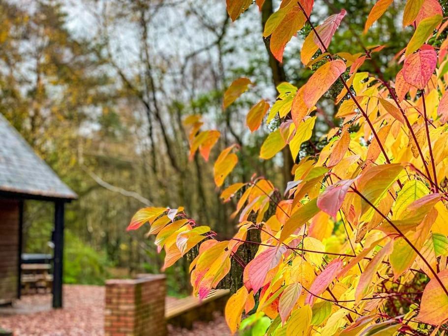 Padley; Woodland Lodge With Hot Tub For 2-4 In The Staffordshire Moorlands Oakamoor Esterno foto