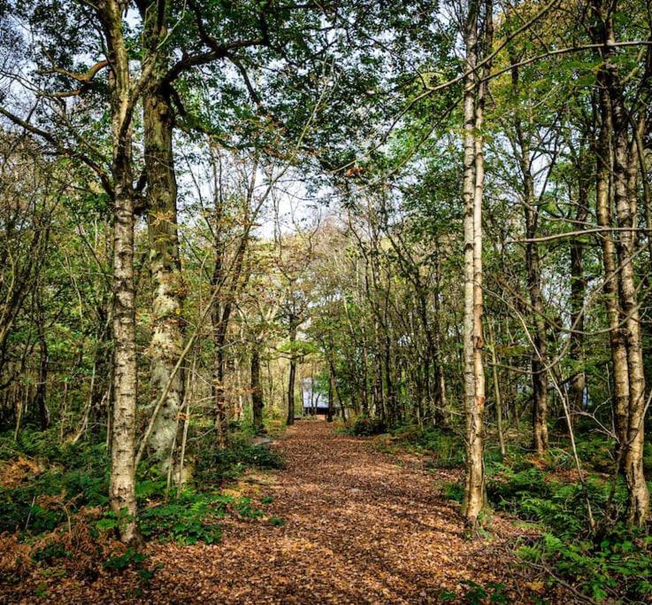 Padley; Woodland Lodge With Hot Tub For 2-4 In The Staffordshire Moorlands Oakamoor Esterno foto