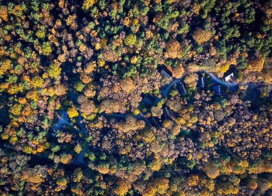 Padley; Woodland Lodge With Hot Tub For 2-4 In The Staffordshire Moorlands Oakamoor Esterno foto